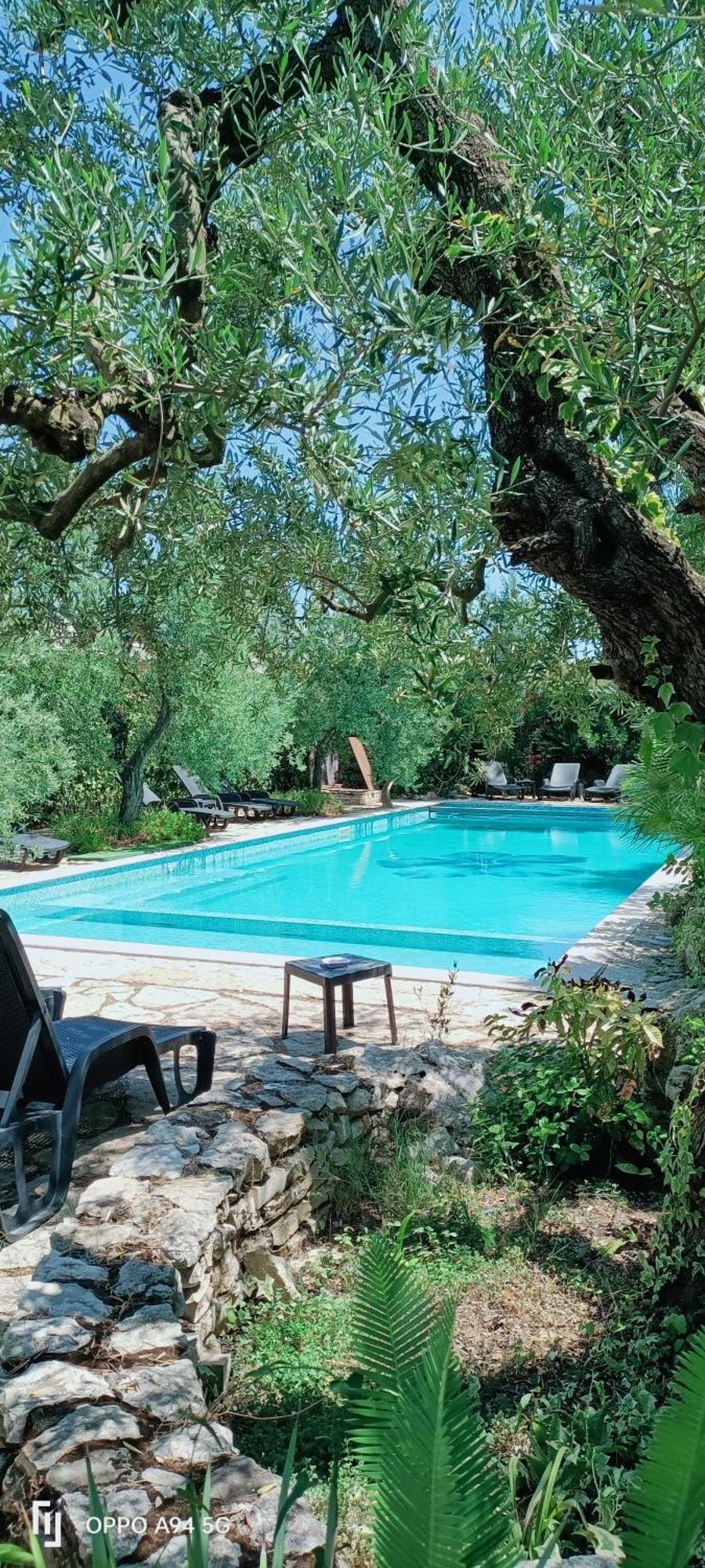 Agriturismo Le Vedute Bisceglie Exterior photo